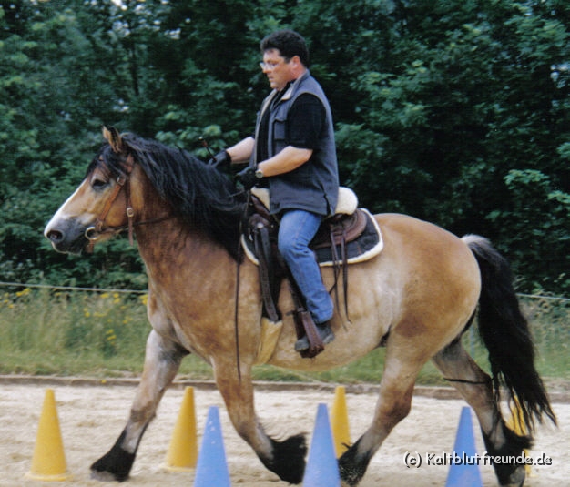 neu-Dirk Dualaktivierung reiten.jpg